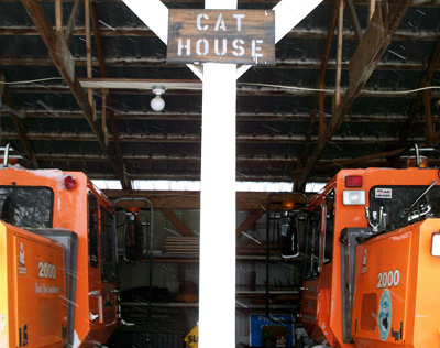 cathouse2